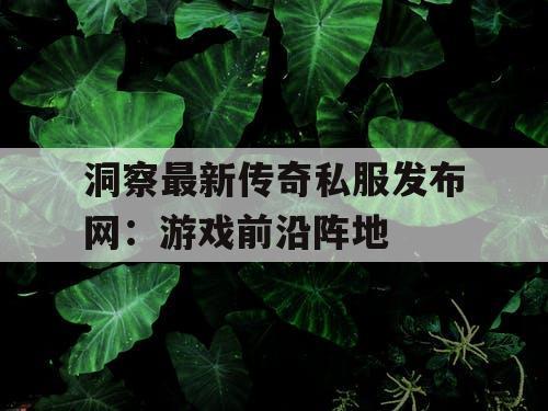 洞察最新传奇私服发布网：游戏前沿阵地