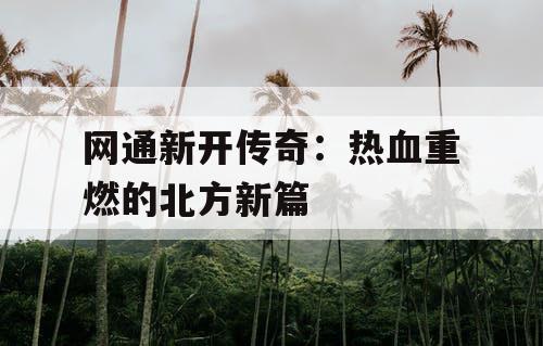 网通新开传奇：热血重燃的北方新篇