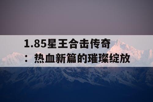 1.85星王合击传奇：热血新篇的璀璨绽放