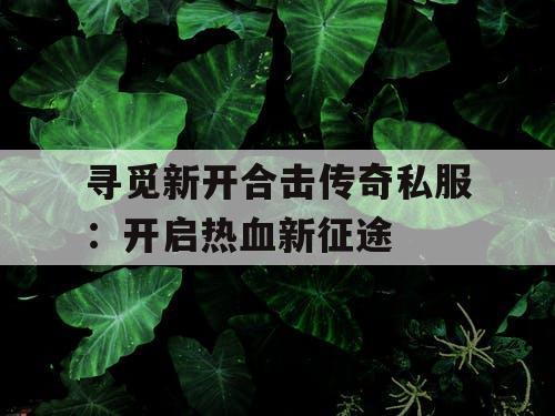 寻觅新开合击传奇私服：开启热血新征途