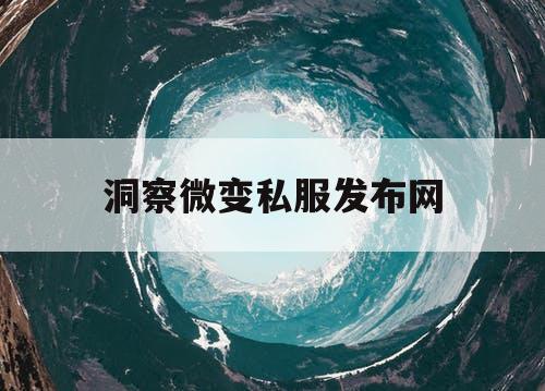 洞察微变私服发布网
