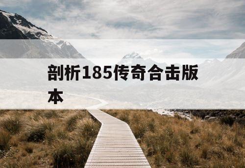 剖析185传奇合击版本