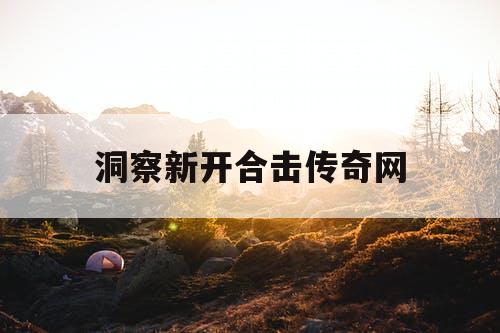 洞察新开合击传奇网