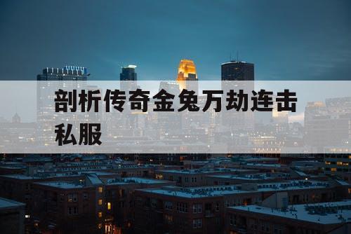 剖析传奇金兔万劫连击私服