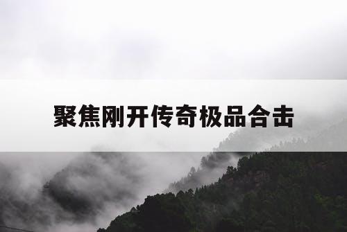 聚焦刚开传奇极品合击