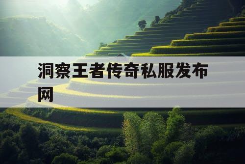 洞察王者传奇私服发布网