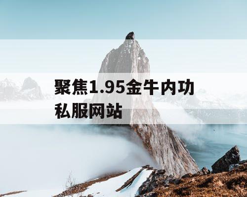 聚焦1.95金牛内功私服网站