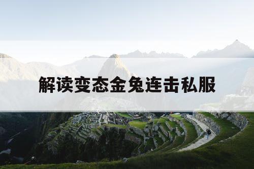 解读变态金兔连击私服