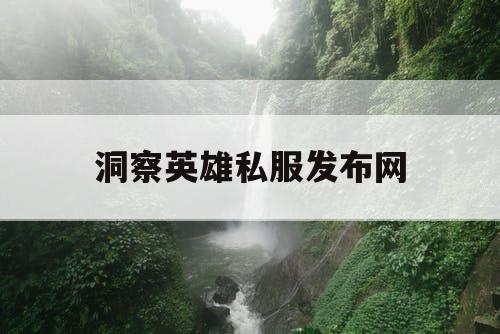 洞察英雄私服发布网