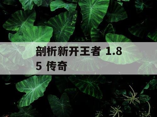剖析新开王者 1.85 传奇