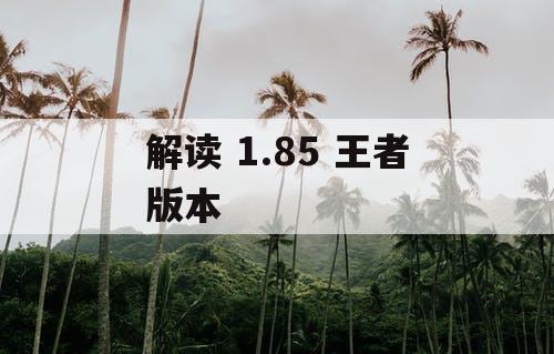 解读 1.85 王者版本