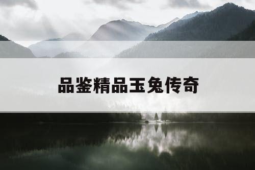 品鉴精品玉兔传奇