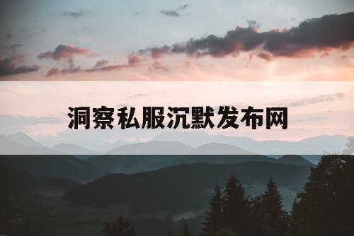 洞察私服沉默发布网