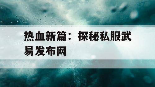 热血新篇：探秘私服武易发布网