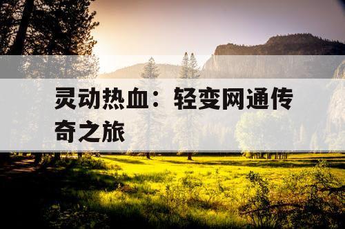 灵动热血：轻变网通传奇之旅
