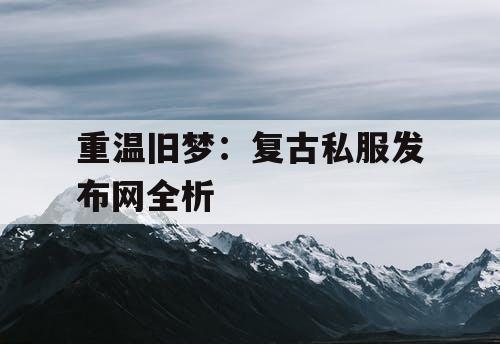 重温旧梦：复古私服发布网全析
