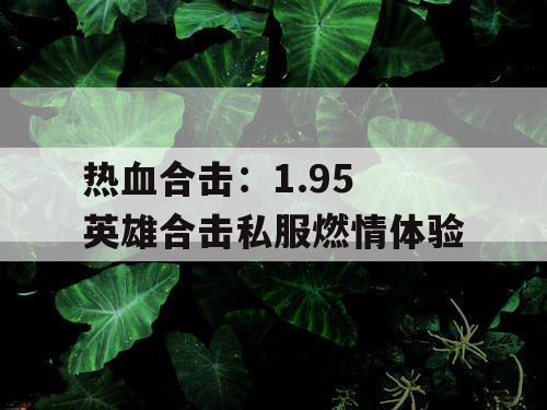 热血合击：1.95 英雄合击私服燃情体验