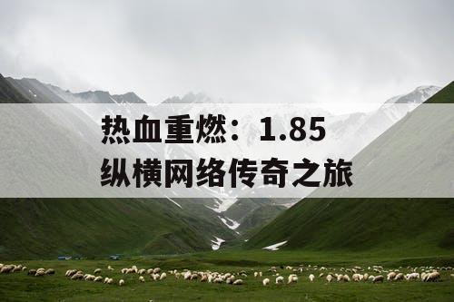 热血重燃：1.85 纵横网络传奇之旅