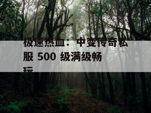 极速热血：中变传奇私服 500 级满级畅玩
