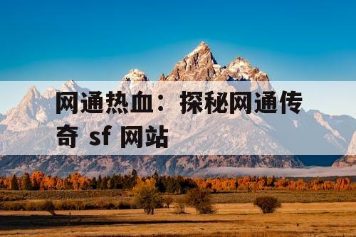 网通热血：探秘网通传奇 sf 网站