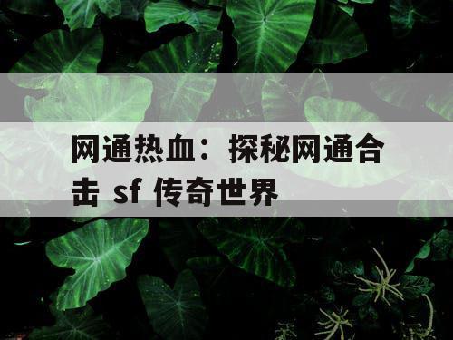 网通热血：探秘网通合击 sf 传奇世界