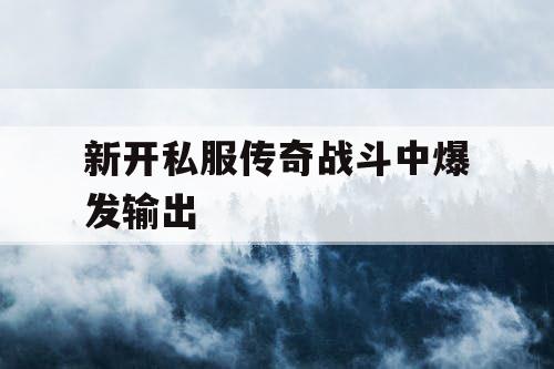 新开私服传奇战斗中爆发输出