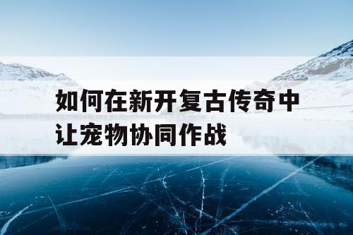 如何在新开复古传奇中让宠物协同作战