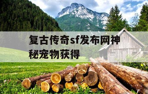复古传奇sf发布网神秘宠物获得