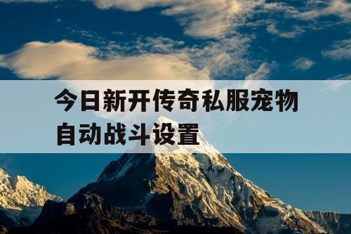 今日新开传奇私服宠物自动战斗设置