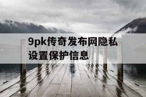 9pk传奇发布网隐私设置保护信息