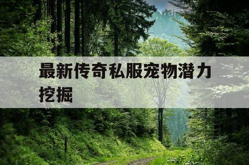 最新传奇私服宠物潜力挖掘
