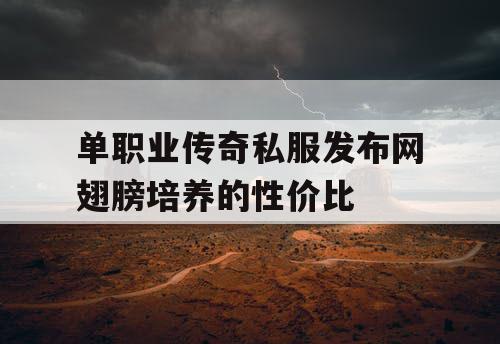 单职业传奇私服发布网翅膀培养的性价比