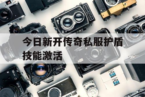 今日新开传奇私服护盾技能激活