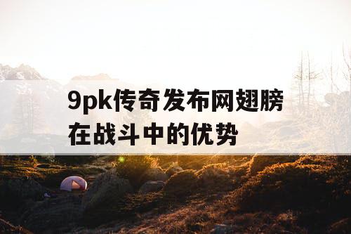 9pk传奇发布网翅膀在战斗中的优势