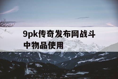 9pk传奇发布网战斗中物品使用