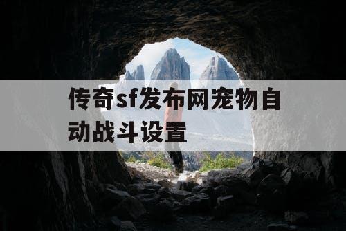 传奇sf发布网宠物自动战斗设置