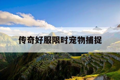 传奇好服限时宠物捕捉