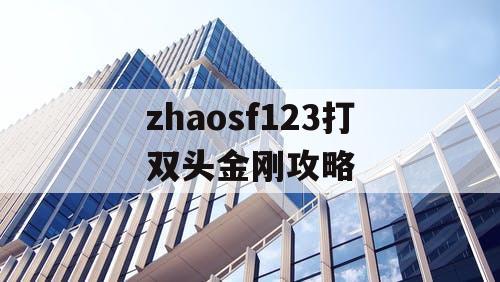 zhaosf123打双头金刚攻略