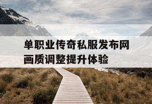 单职业传奇私服发布网画质调整提升体验