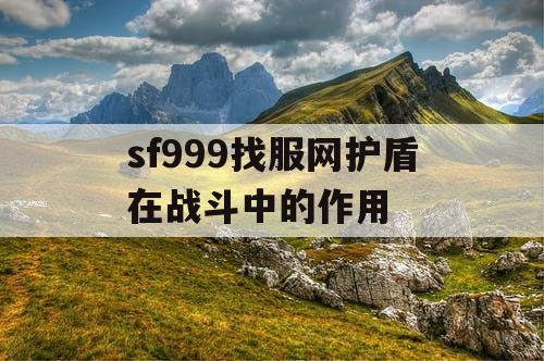 sf999找服网护盾在战斗中的作用