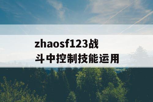 zhaosf123战斗中控制技能运用