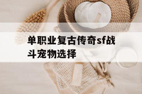 单职业复古传奇sf战斗宠物选择