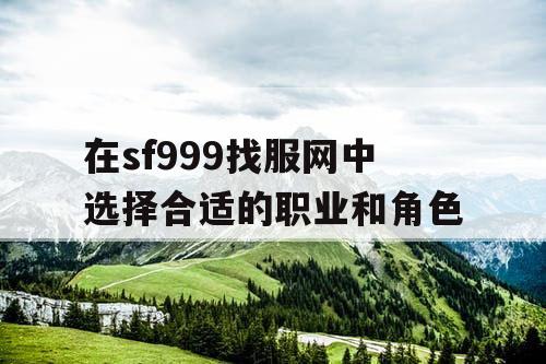 在sf999找服网中选择合适的职业和角色