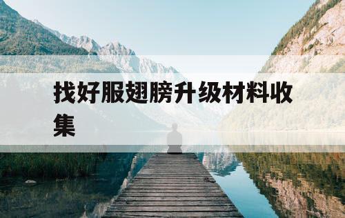 找好服翅膀升级材料收集