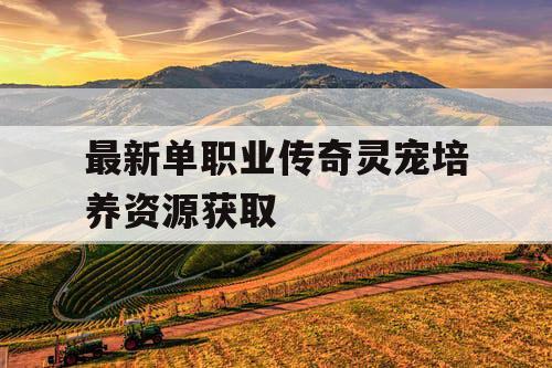 最新单职业传奇灵宠培养资源获取