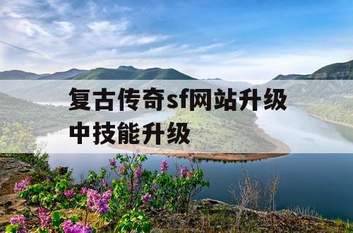 复古传奇sf网站升级中技能升级