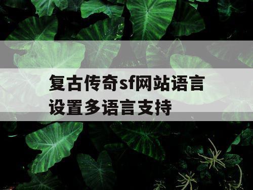复古传奇sf网站语言设置多语言支持