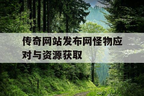 传奇网站发布网怪物应对与资源获取